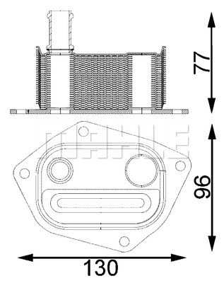 WG2181146