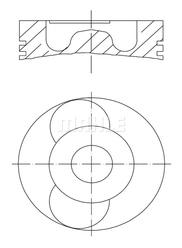 WG1104593