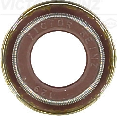 WG1246031