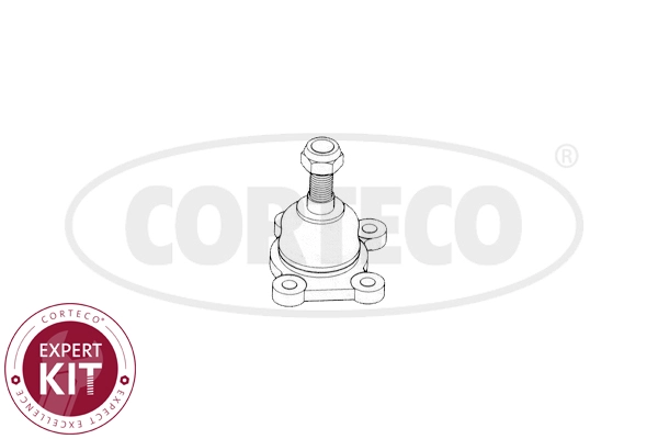 WG2288353