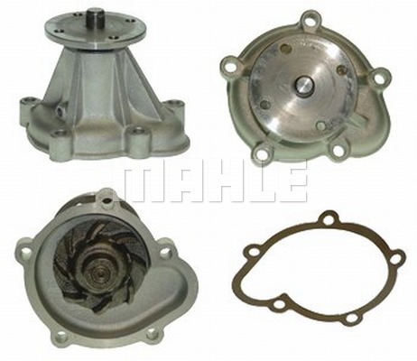 WG2181729
