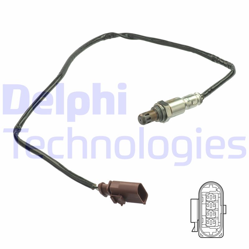 WG2200646