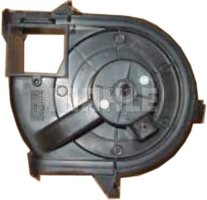 WG2179737