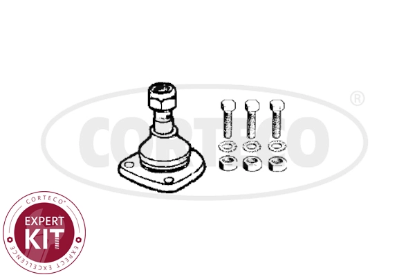 WG2291728
