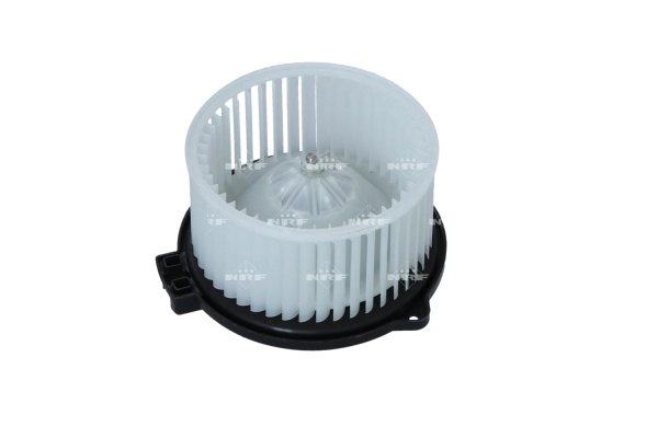 WG2160203