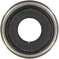 WG1004695