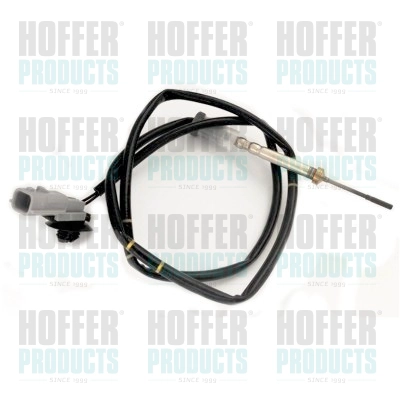 WG1748819
