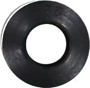 WG1004721