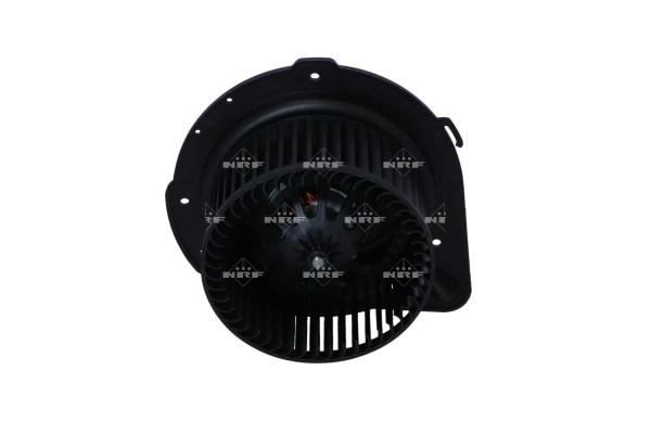WG2160088