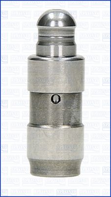 WG1009696