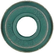 WG1004691