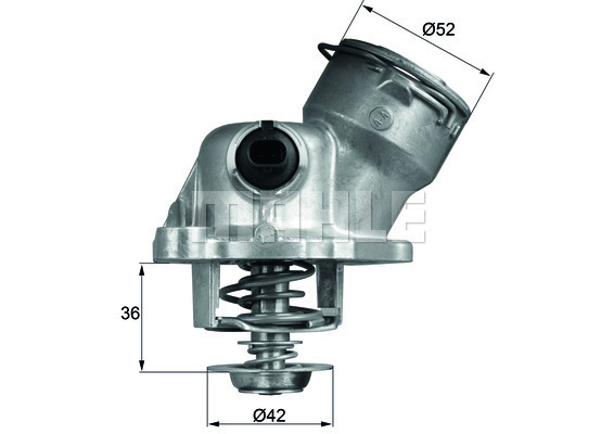 WG2401449