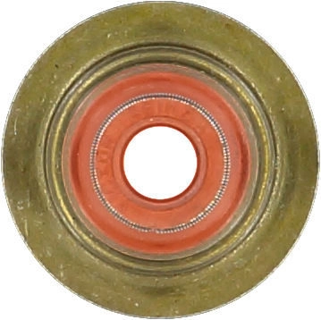 WG1004660