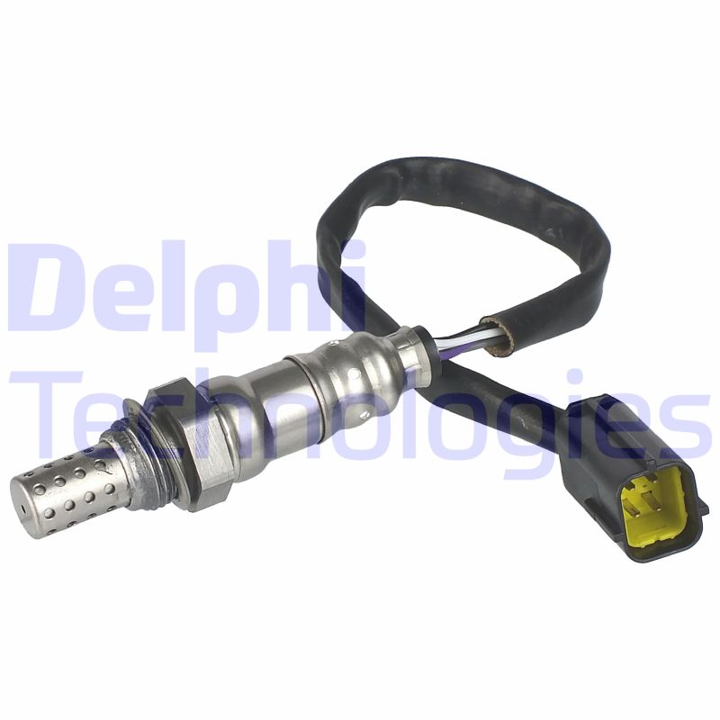 WG1029363