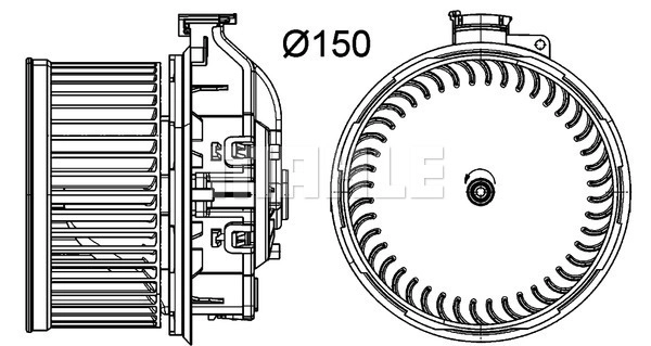 WG2179894