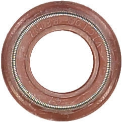 WG1004709