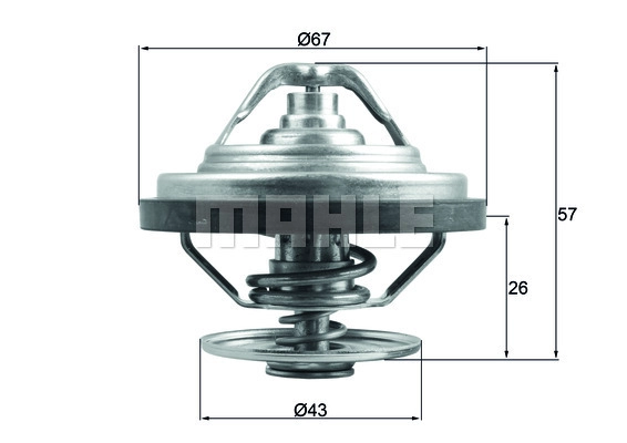 WG2224797