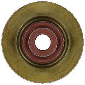 WG1004670