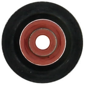 WG1705889