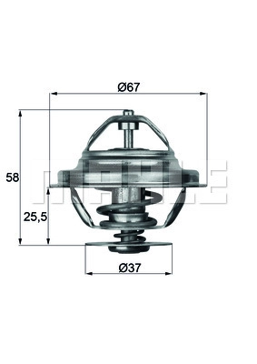 WG2401488