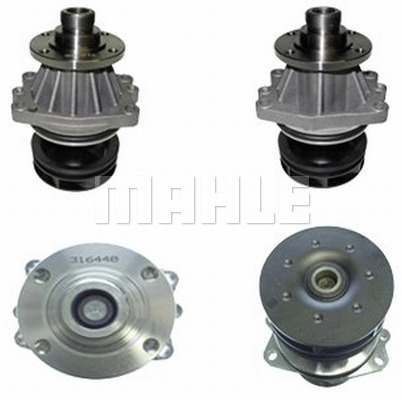 WG2181408