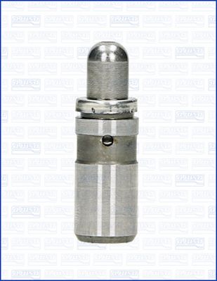 WG1009700