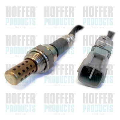 WG1407763