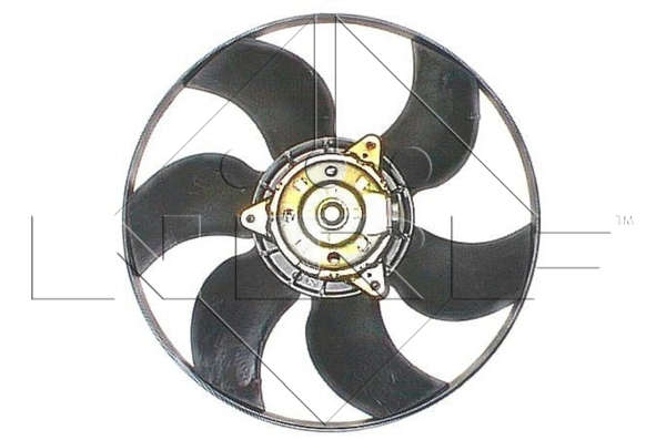 WG1720333