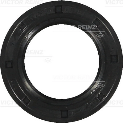 WG1250095