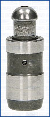WG1456134
