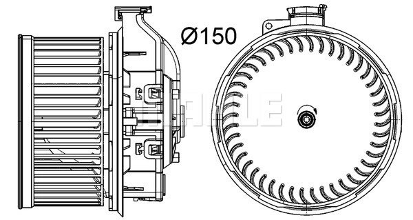 WG2179896