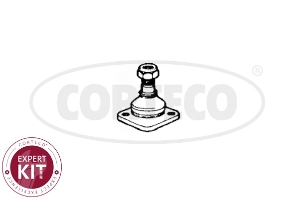 WG2288248