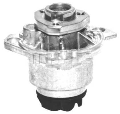WG2181425