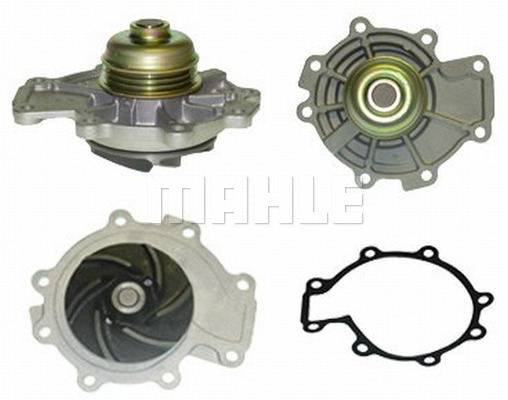 WG2181795