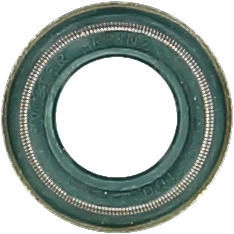 WG1004636