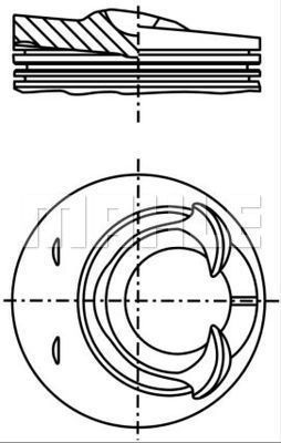 WG1258456