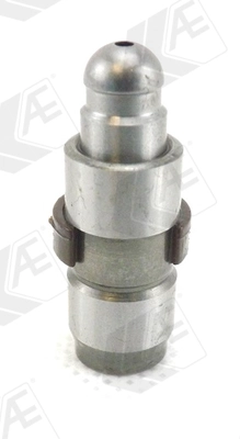 WG1172045
