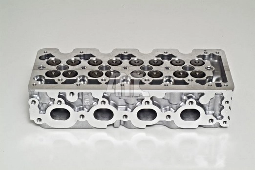 WG1011374
