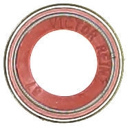 WG1705908