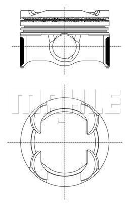 WG2264125