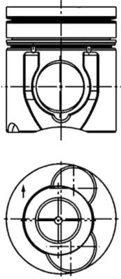 WG1016456