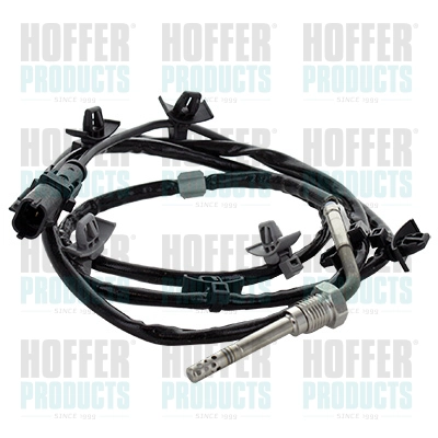 WG1966085