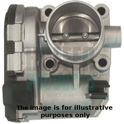 WG1965256