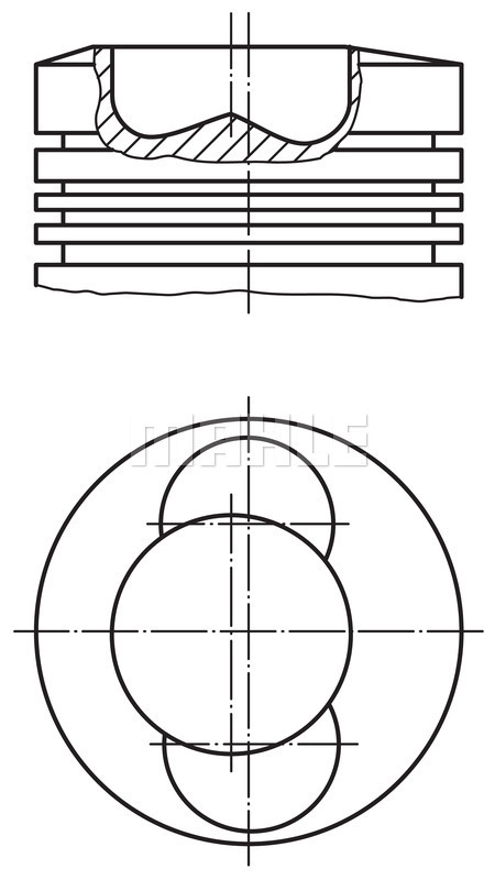 WG1213569
