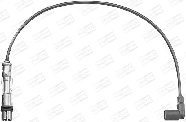 WG2009901