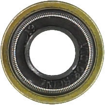 WG1004705