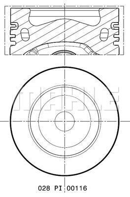 WG1211842
