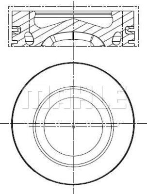 WG2304466