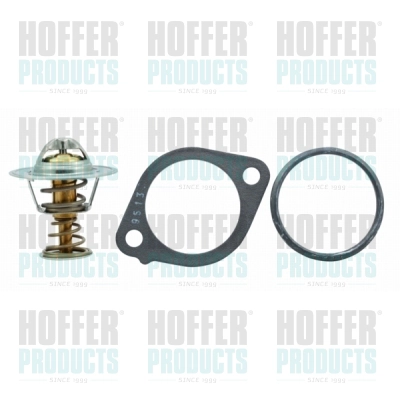 WG1409487