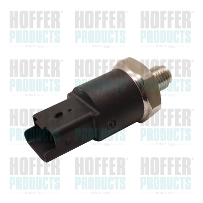 WG2137081